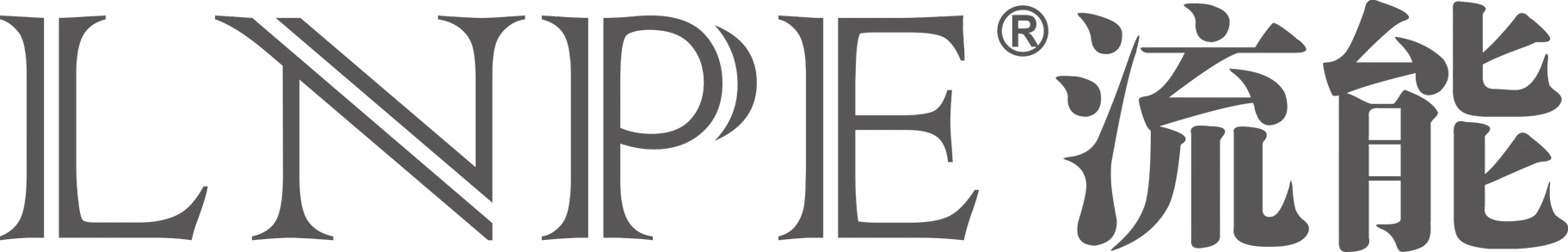 LNPE 流能